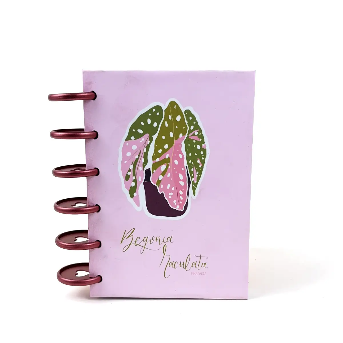 Libreta A6 Begonia rosada con ilustración botánica y discos laterales