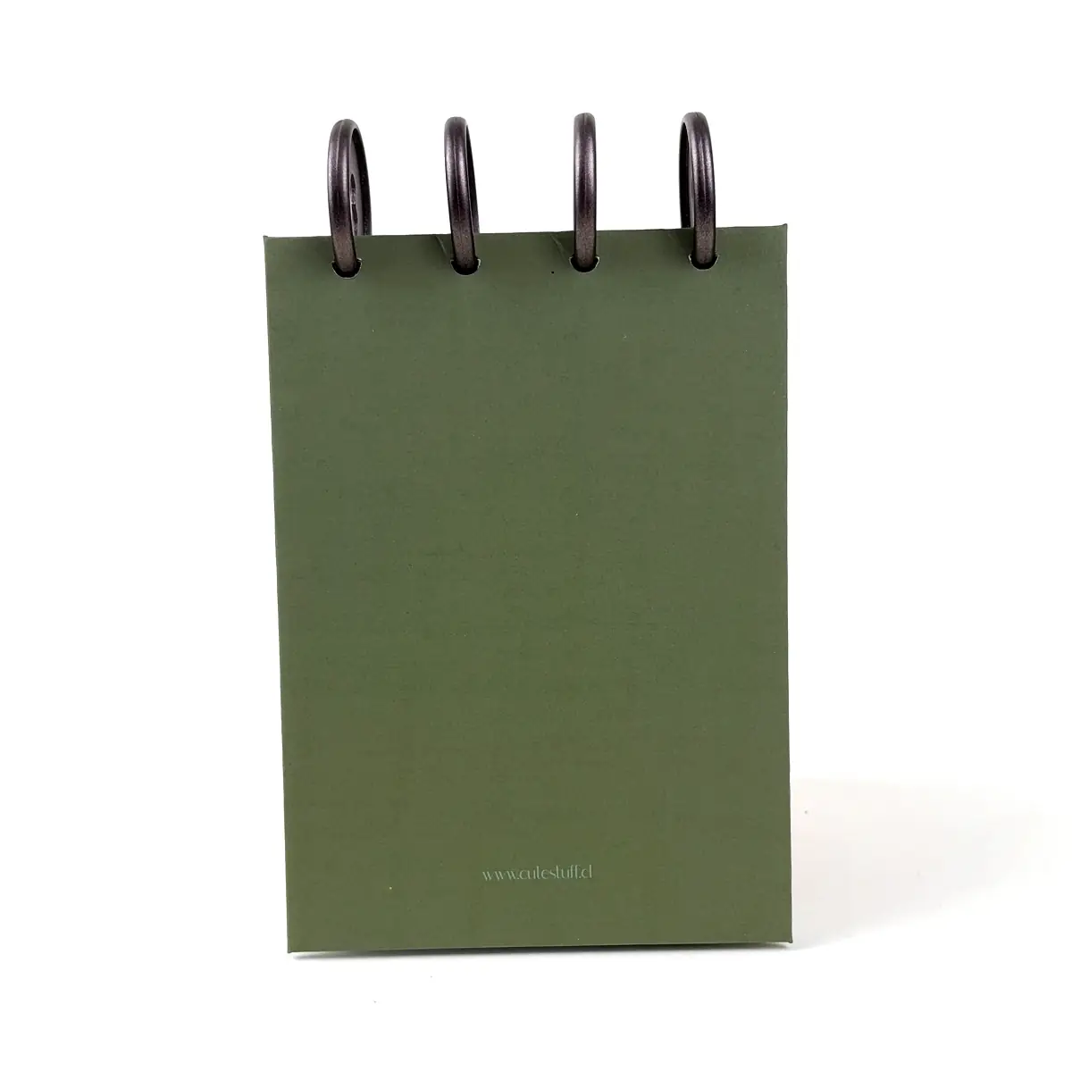 Libreta A6 Llaima Horizon verde con Volcán Llaima y discos superiores