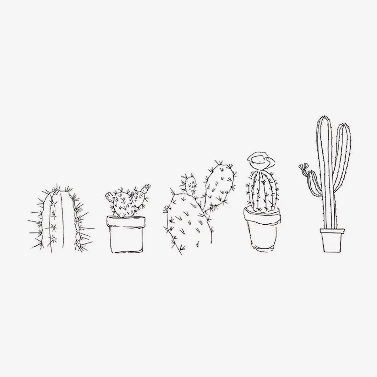 Diseños incluidos de Timbre Adix Creative — Cactus Party